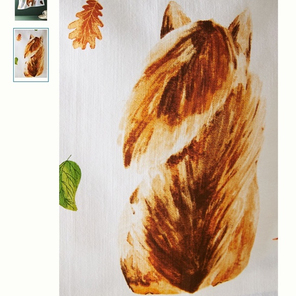 Sandy the Squirrel Boho Peasant Art Deco Hipster Hippie Chic Farm Dish Towel - Picture 2 of 2